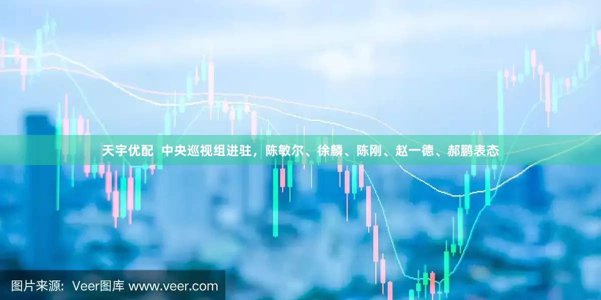 天宇优配  中央巡视组进驻，陈敏尔、徐麟、陈刚、赵一德、郝鹏表态