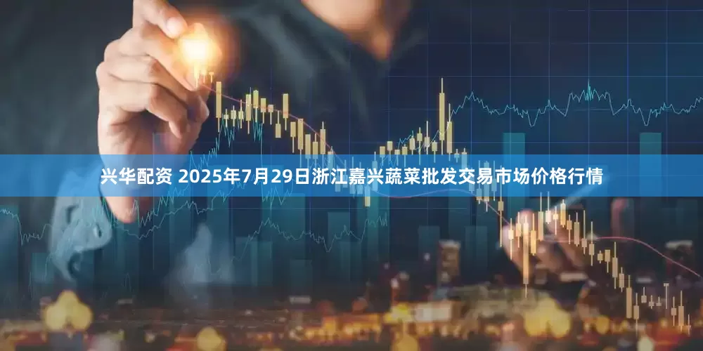 兴华配资 2025年7月29日浙江嘉兴蔬菜批发交易市场价格行情