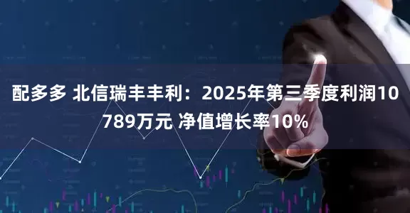 配多多 北信瑞丰丰利：2025年第三季度利润10789万元 净值增长率10%