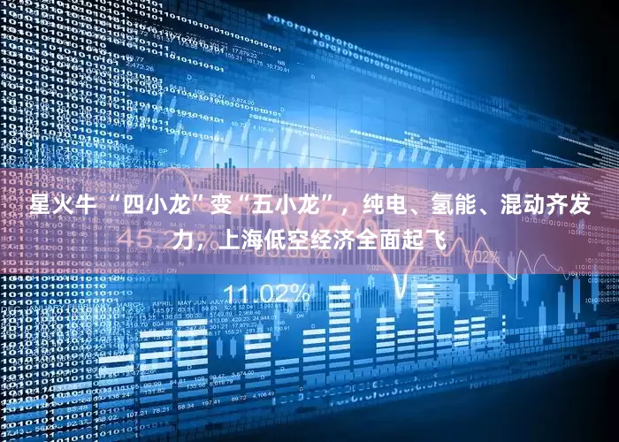 星火牛 “四小龙”变“五小龙”，纯电、氢能、混动齐发力，上海低空经济全面起飞