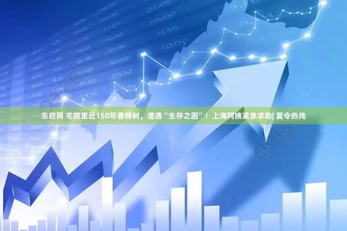 东启网 宅院里近150年香橼树，遭遇“生存之困”！上海阿姨紧急求助| 夏令热线